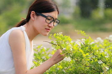 国产精品视频网站首页展示